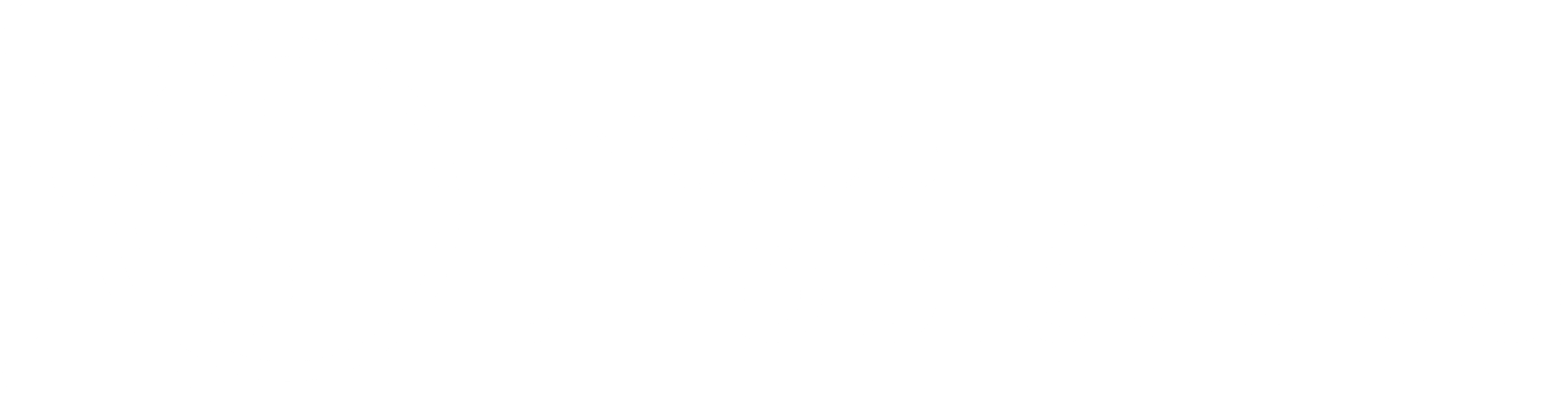 Logo vectorizado Blanco